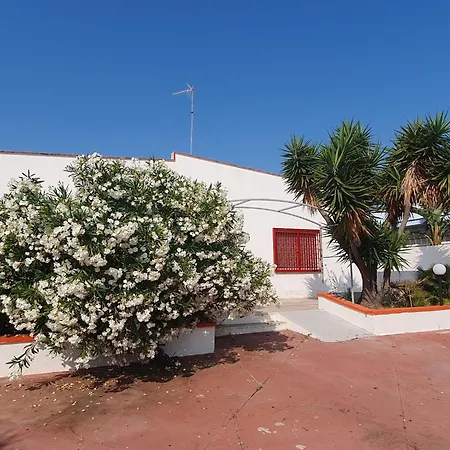 La Rondinella - Villa *